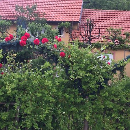 Apartman Lili Cetinje Exterior foto