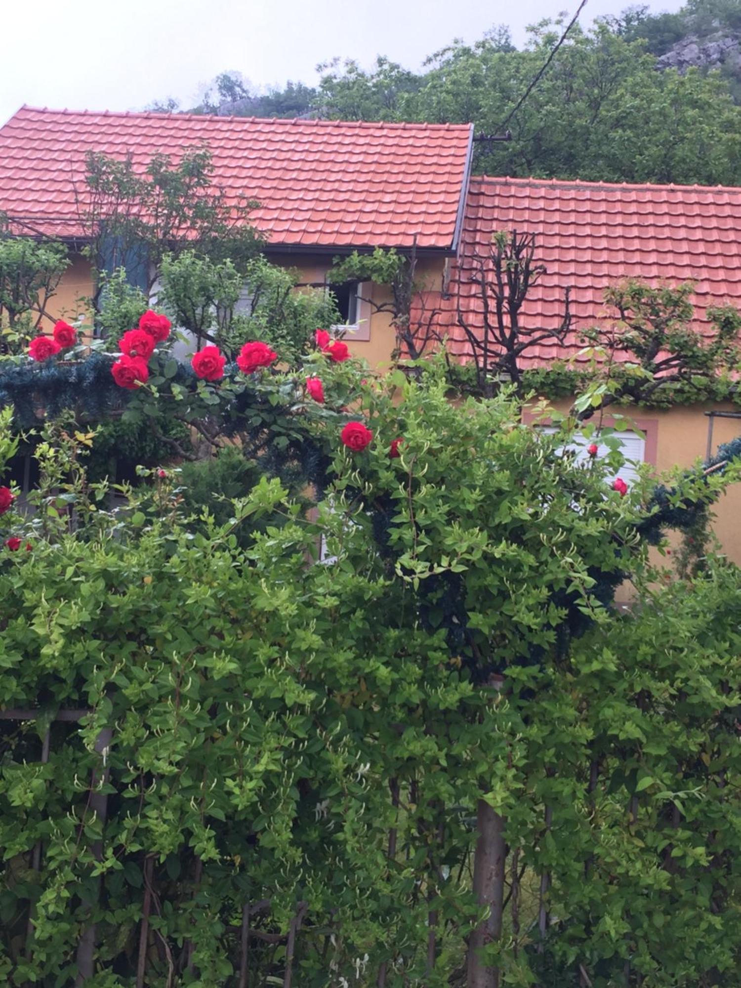 Apartman Lili Cetinje Exterior foto